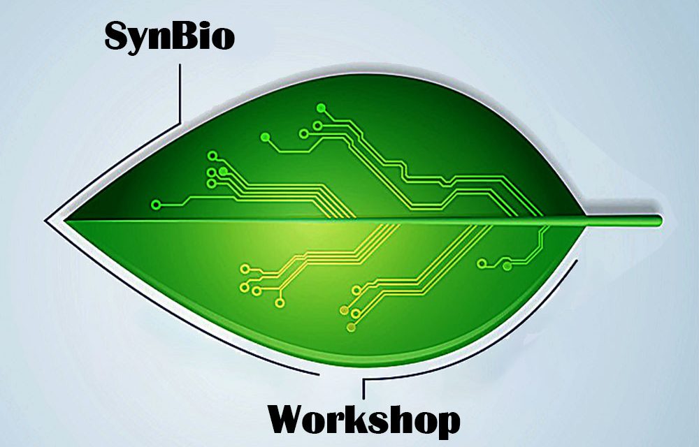 Bioinformatics SynBio Workshop, Potsdam, Germany