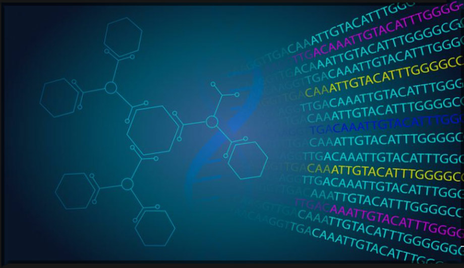 Bioinformatics Workshop