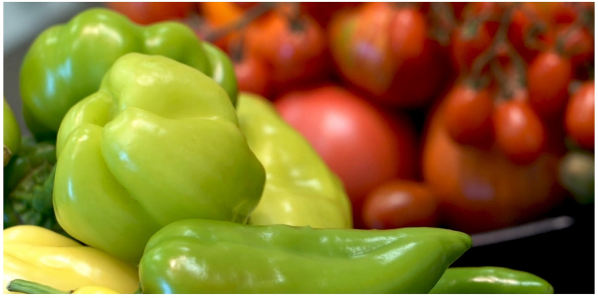 Biodiversity in tomato and pepper: joint initiative of MVCRI and CPSBB